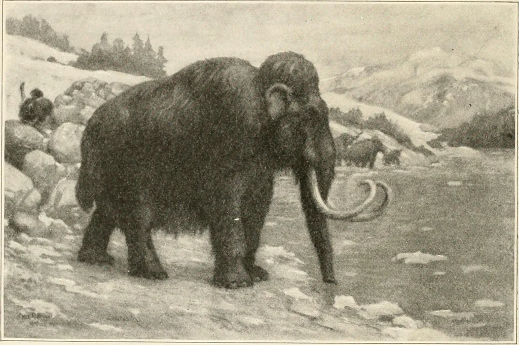 An illustration from Men of the old stone age : their environment, life and art, 1915, leaf 239