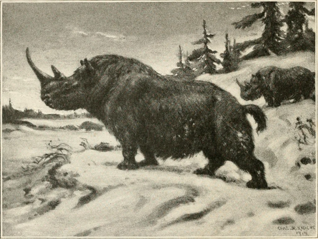 An illustration from Men of the old stone age : their environment, life and art, 1915, leaf 241