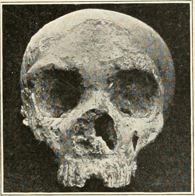An illustration from Men of the old stone age : their environment, life and art, 1915, leaf 246
