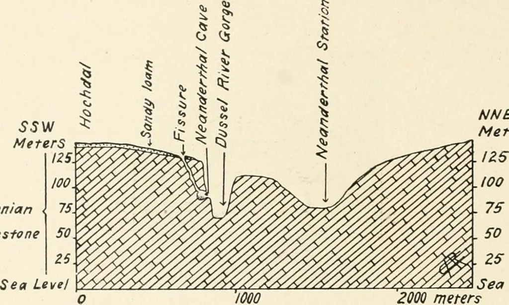 An illustration from Men of the old stone age : their environment, life and art, 1915, leaf 247