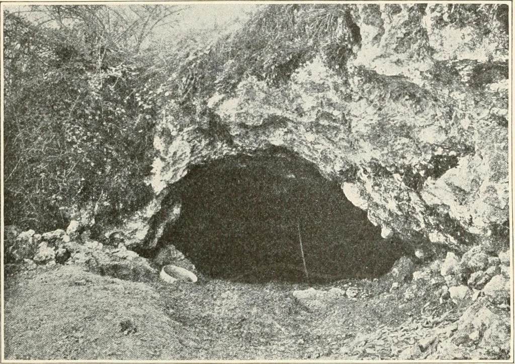 An illustration from Men of the old stone age : their environment, life and art, 1915, leaf 254