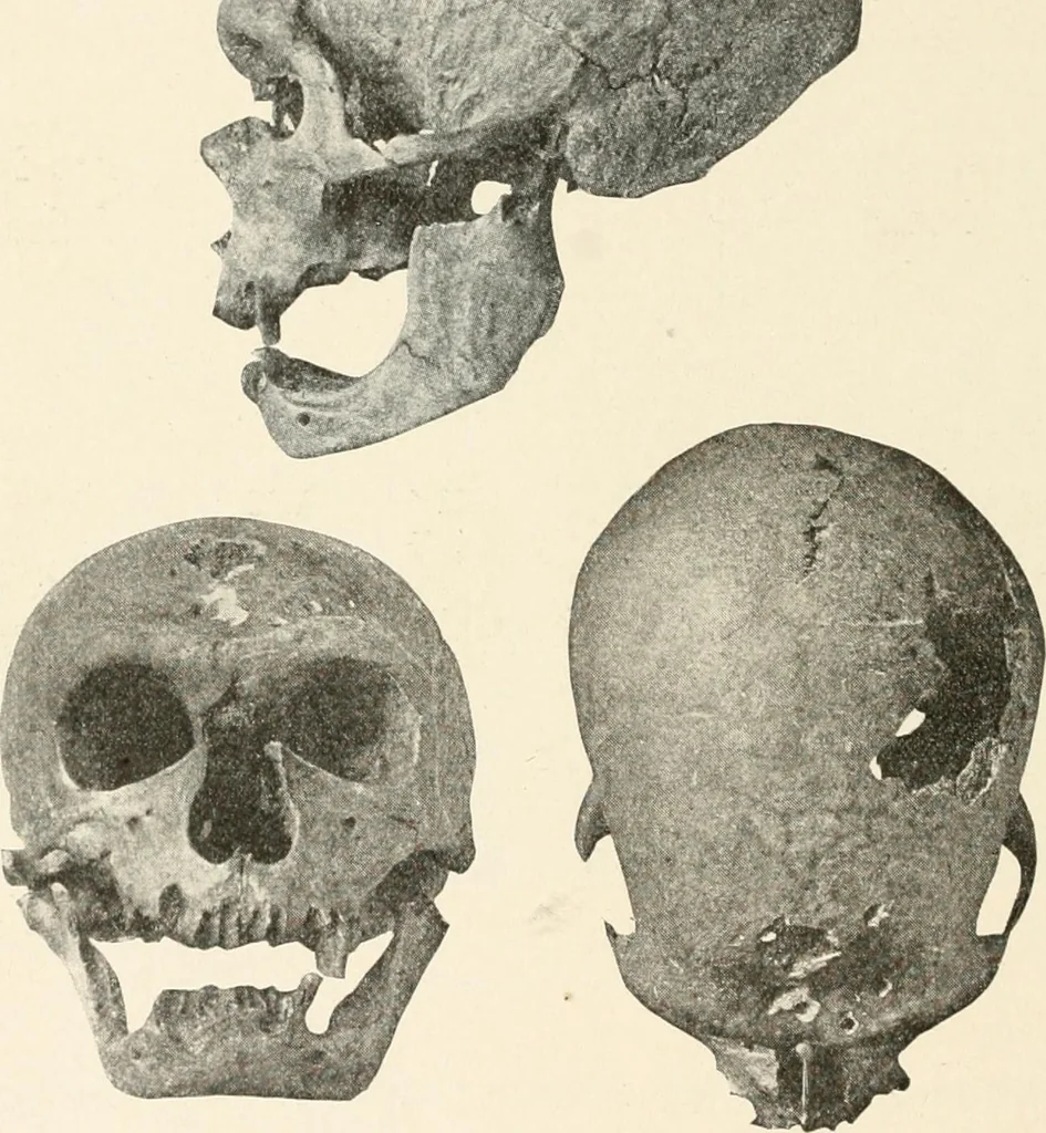 An illustration from Men of the old stone age : their environment, life and art, 1915, leaf 255