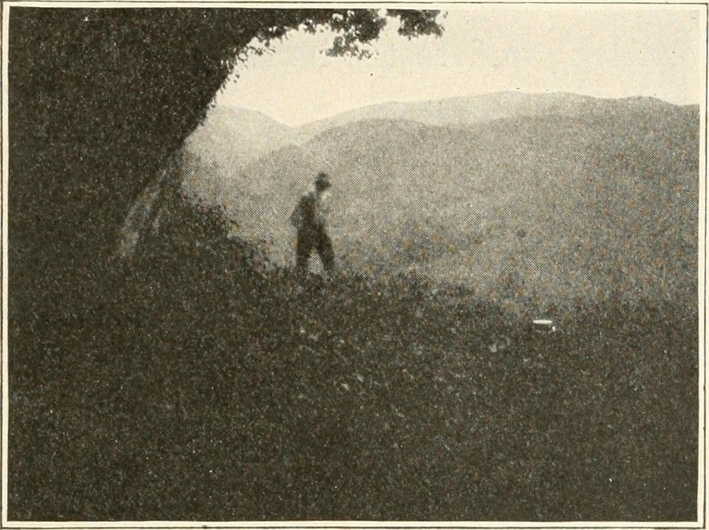 An illustration from Men of the old stone age : their environment, life and art, 1915, leaf 278