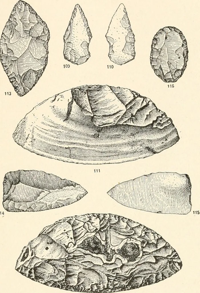 An illustration from Men of the old stone age : their environment, life and art, 1915, leaf 286