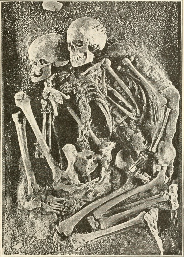 An illustration from Men of the old stone age : their environment, life and art, 1915, leaf 298