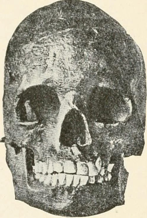An illustration from Men of the old stone age : their environment, life and art, 1915, leaf 299