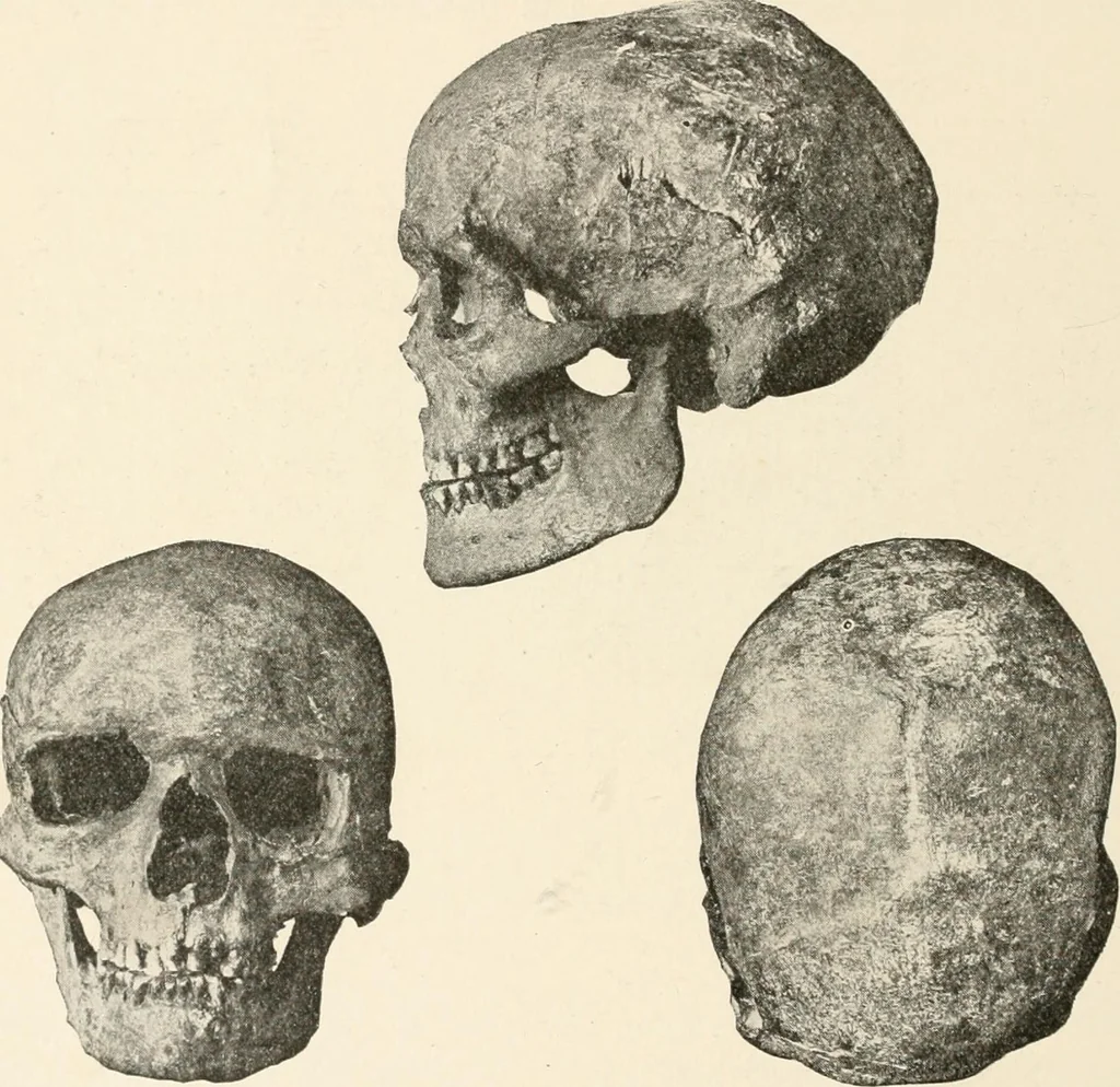 An illustration from Men of the old stone age : their environment, life and art, 1915, leaf 323