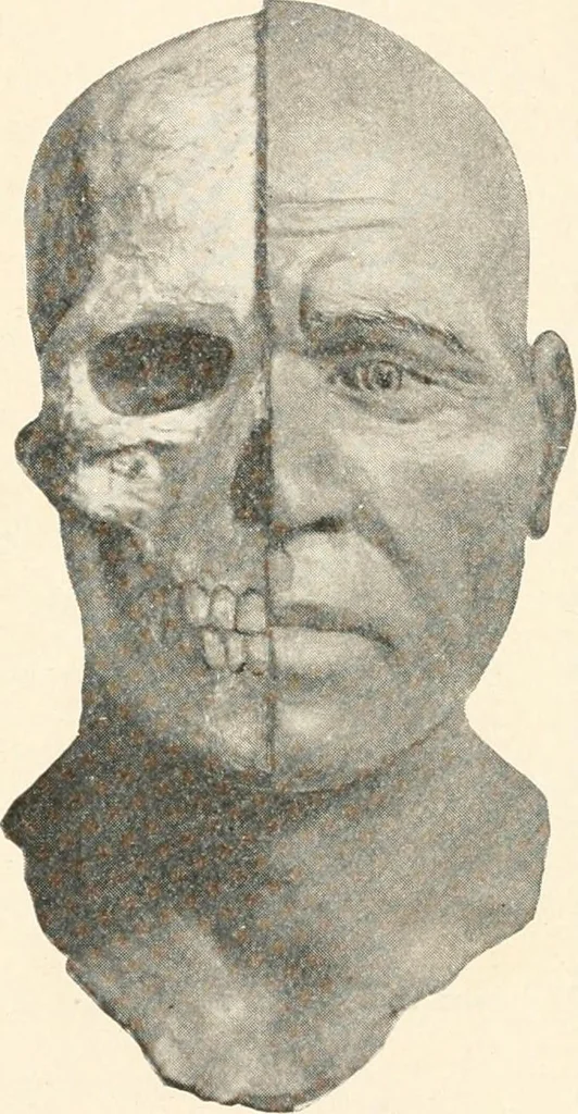 An illustration from Men of the old stone age : their environment, life and art, 1915, leaf 324