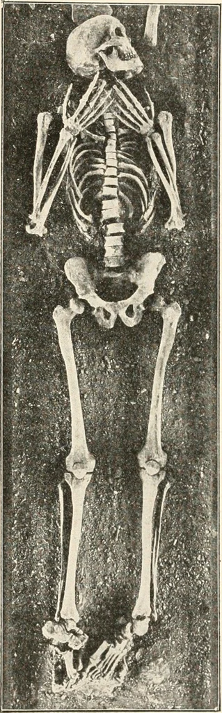 An illustration from Men of the old stone age : their environment, life and art, 1915, leaf 328