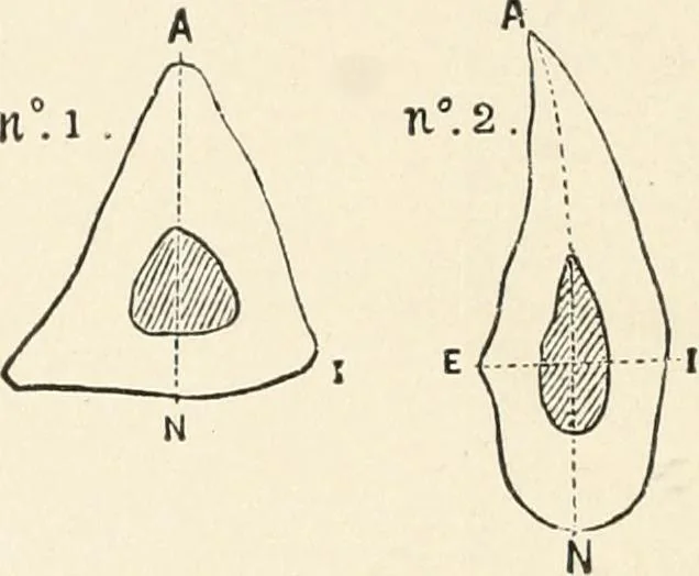 An illustration from Men of the old stone age : their environment, life and art, 1915, leaf 329