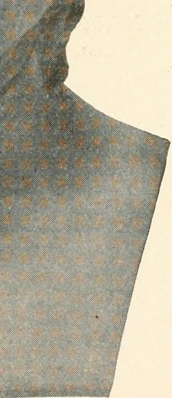 An illustration from Men of the old stone age : their environment, life and art, 1915, leaf 332