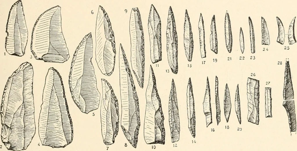 An illustration from Men of the old stone age : their environment, life and art, 1915, leaf 342