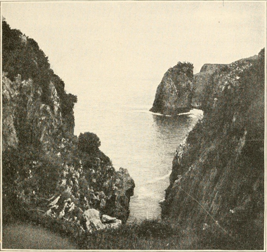 An illustration from Men of the old stone age : their environment, life and art, 1915, leaf 346