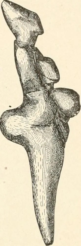 An illustration from Men of the old stone age : their environment, life and art, 1915, leaf 352
