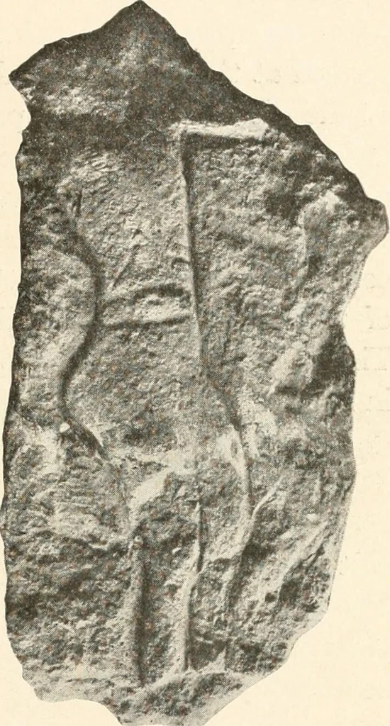 An illustration from Men of the old stone age : their environment, life and art, 1915, leaf 360