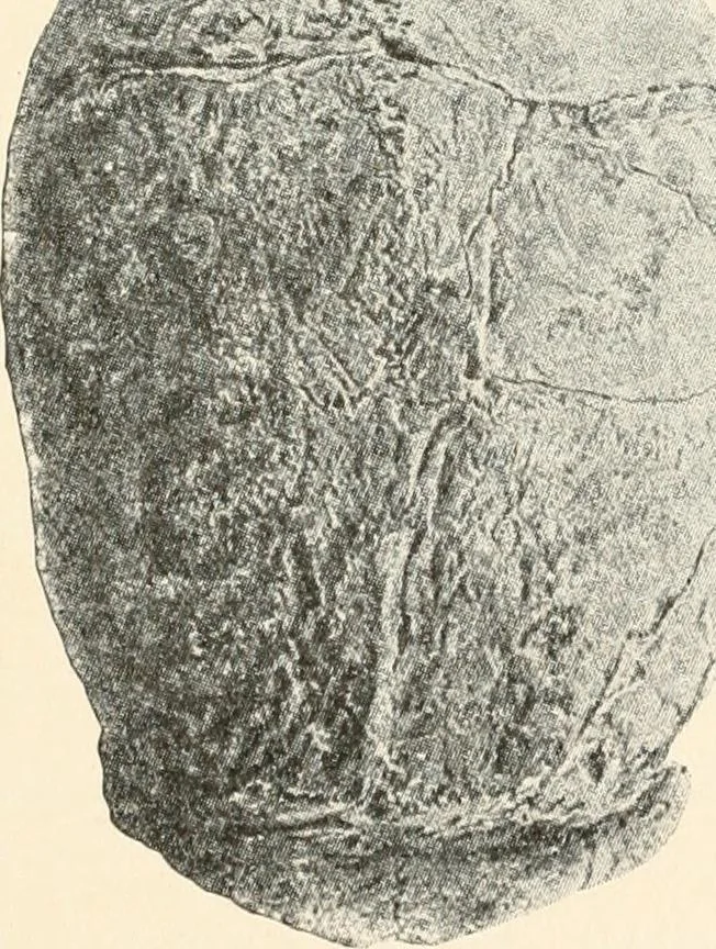 An illustration from Men of the old stone age : their environment, life and art, 1915, leaf 366