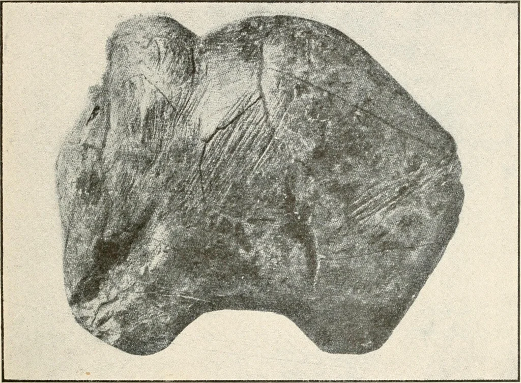 An illustration from Men of the old stone age : their environment, life and art, 1915, leaf 380
