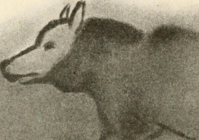 An illustration from Men of the old stone age : their environment, life and art, 1915, leaf 387