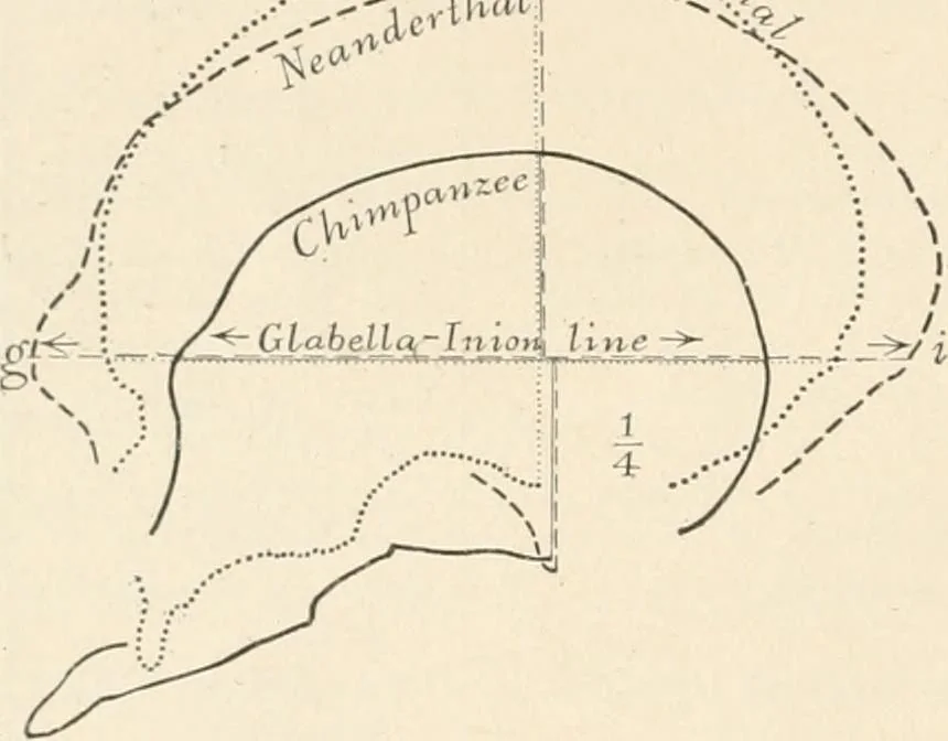 An illustration from Men of the old stone age : their environment, life and art, 1915, leaf 39