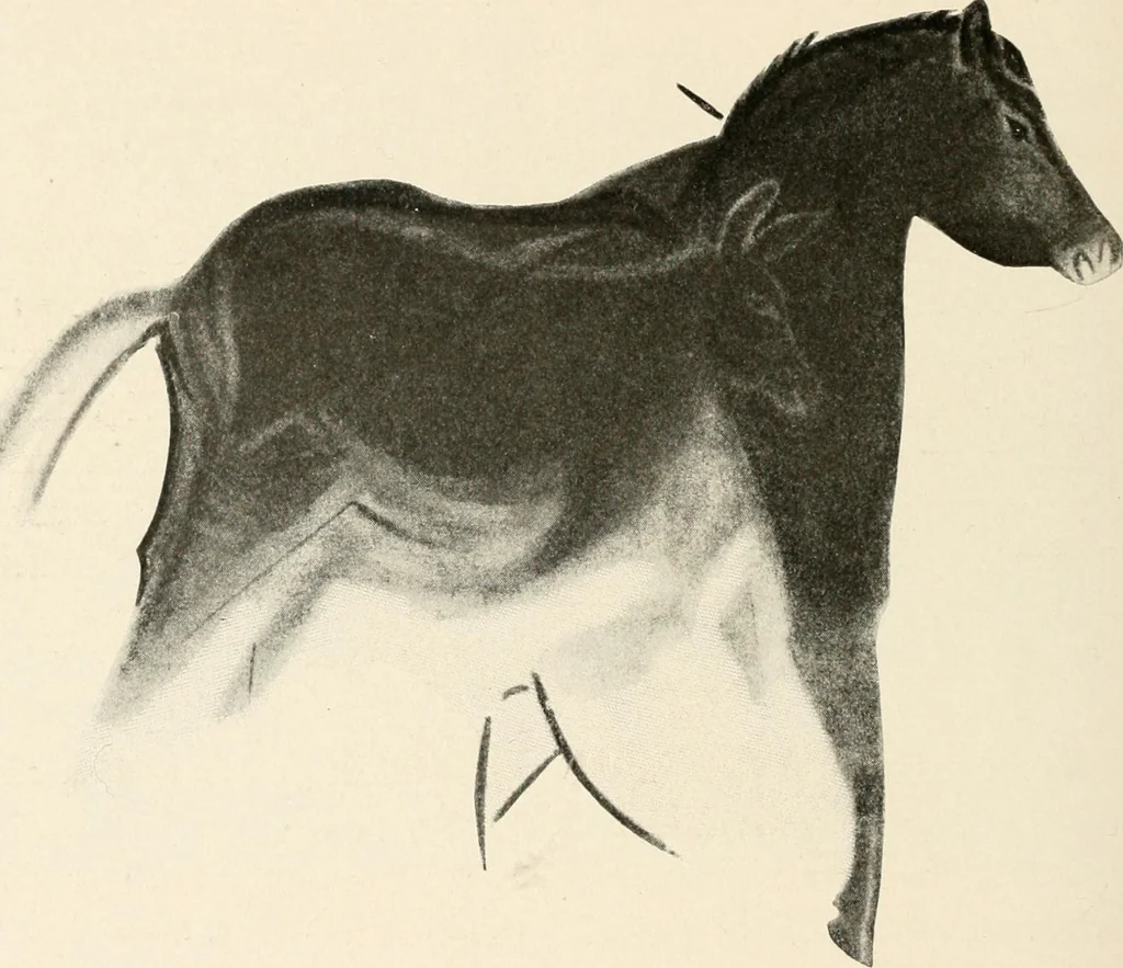 An illustration from Men of the old stone age : their environment, life and art, 1915, leaf 401