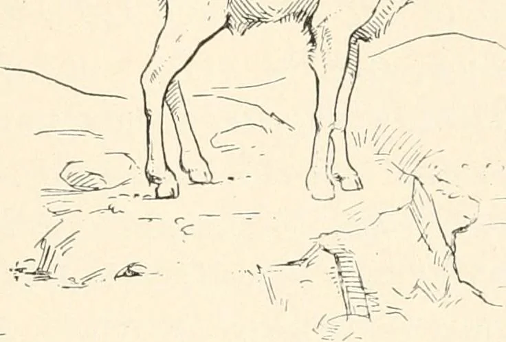 An illustration from Men of the old stone age : their environment, life and art, 1915, leaf 404
