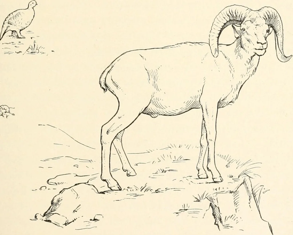 An illustration from Men of the old stone age : their environment, life and art, 1915, leaf 404