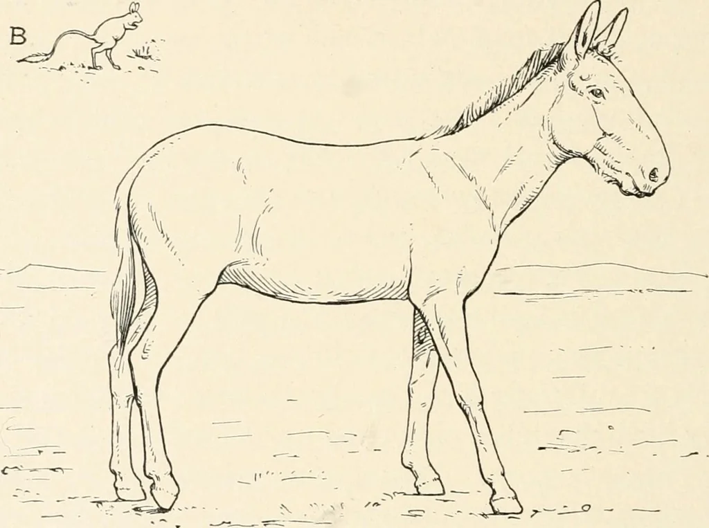 An illustration from Men of the old stone age : their environment, life and art, 1915, leaf 407