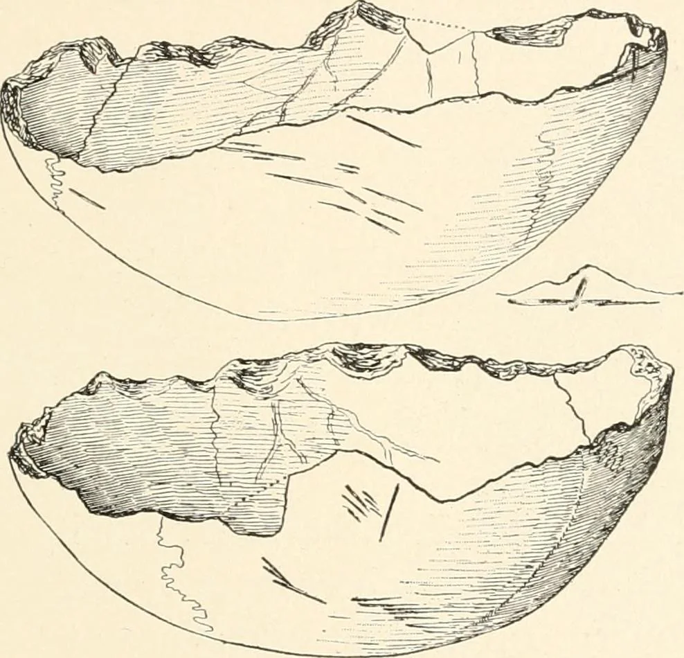 An illustration from Men of the old stone age : their environment, life and art, 1915, leaf 412