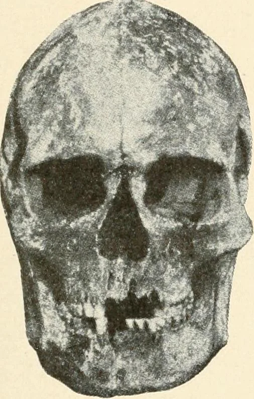 An illustration from Men of the old stone age : their environment, life and art, 1915, leaf 414