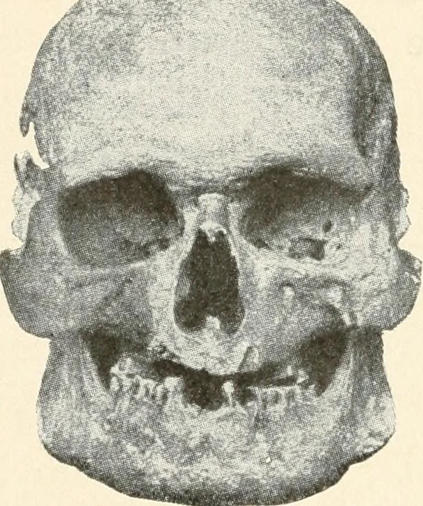 An illustration from Men of the old stone age : their environment, life and art, 1915, leaf 414