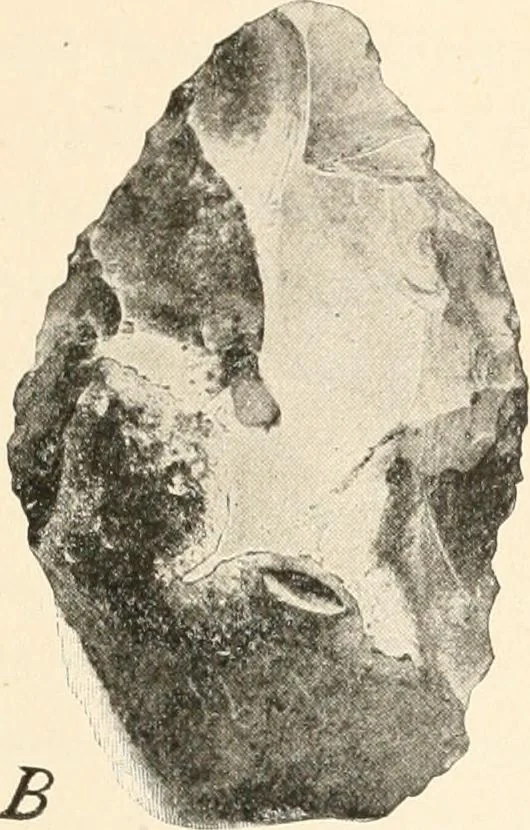 An illustration from Men of the old stone age : their environment, life and art, 1915, leaf 42