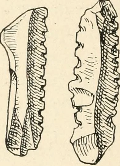 An illustration from Men of the old stone age : their environment, life and art, 1915, leaf 423