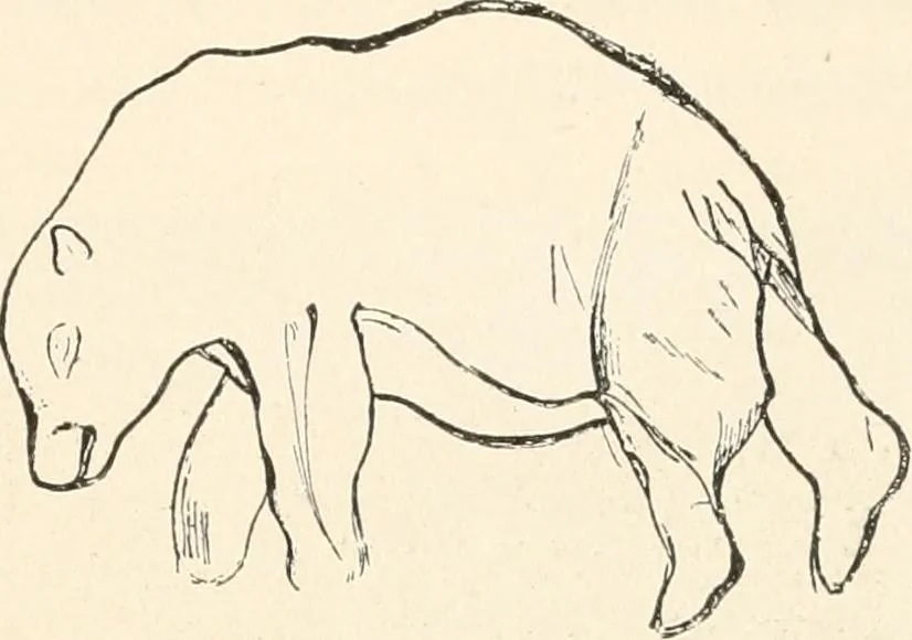 An illustration from Men of the old stone age : their environment, life and art, 1915, leaf 434