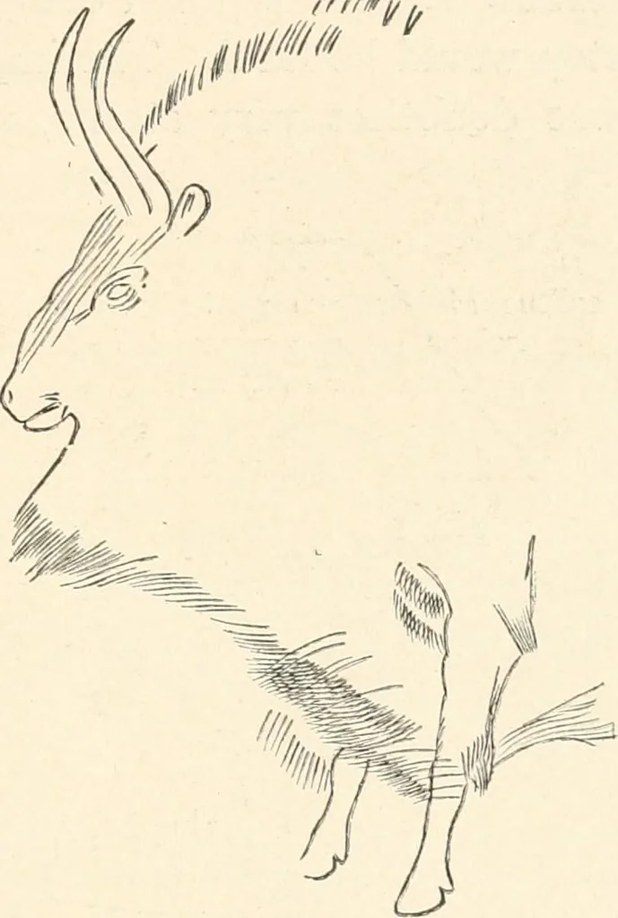 An illustration from Men of the old stone age : their environment, life and art, 1915, leaf 436