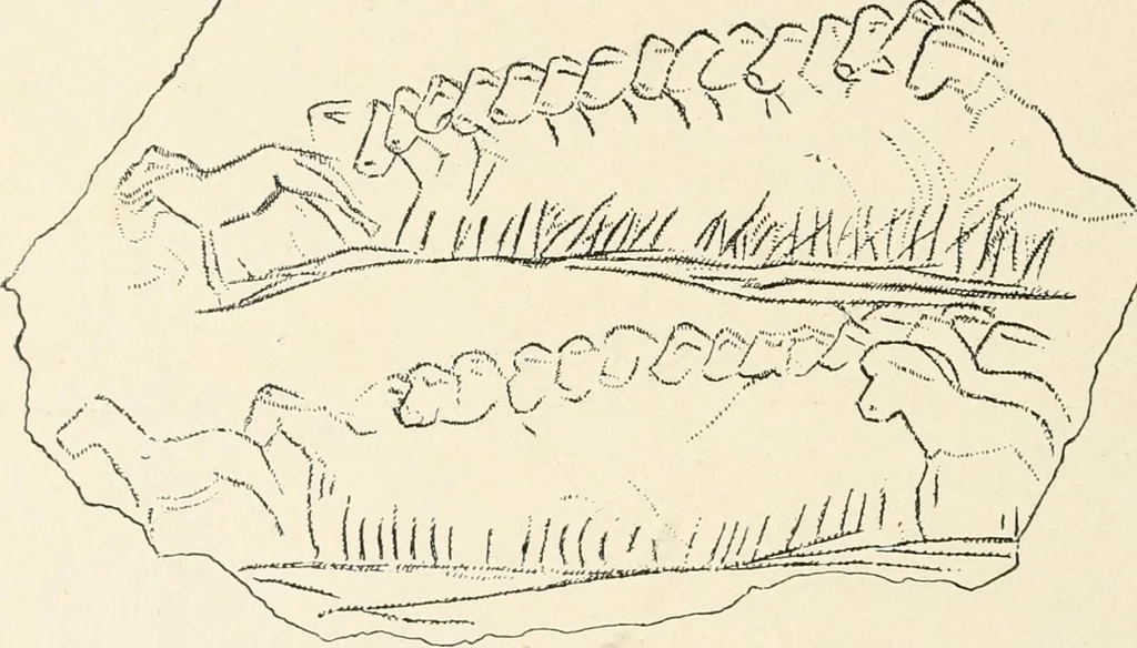 An illustration from Men of the old stone age : their environment, life and art, 1915, leaf 437