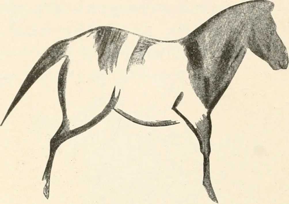 An illustration from Men of the old stone age : their environment, life and art, 1915, leaf 441