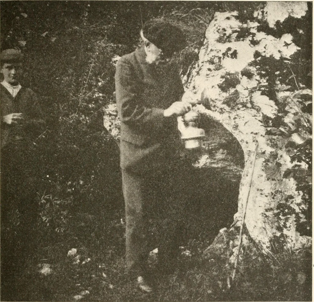 An illustration from Men of the old stone age : their environment, life and art, 1915, leaf 444
