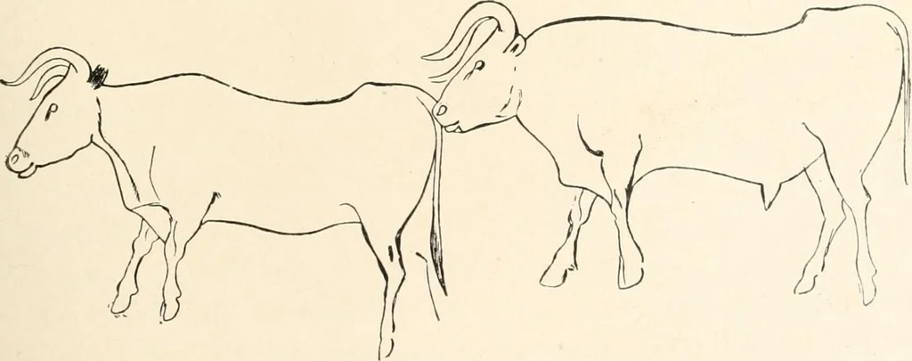 An illustration from Men of the old stone age : their environment, life and art, 1915, leaf 446