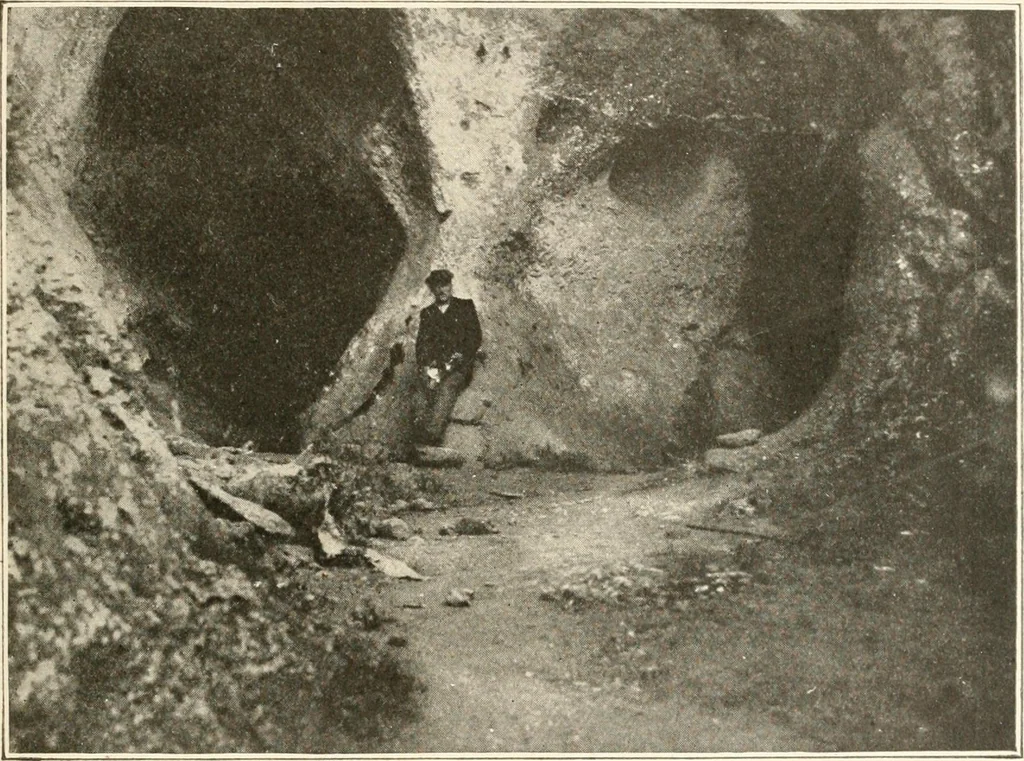 An illustration from Men of the old stone age : their environment, life and art, 1915, leaf 450