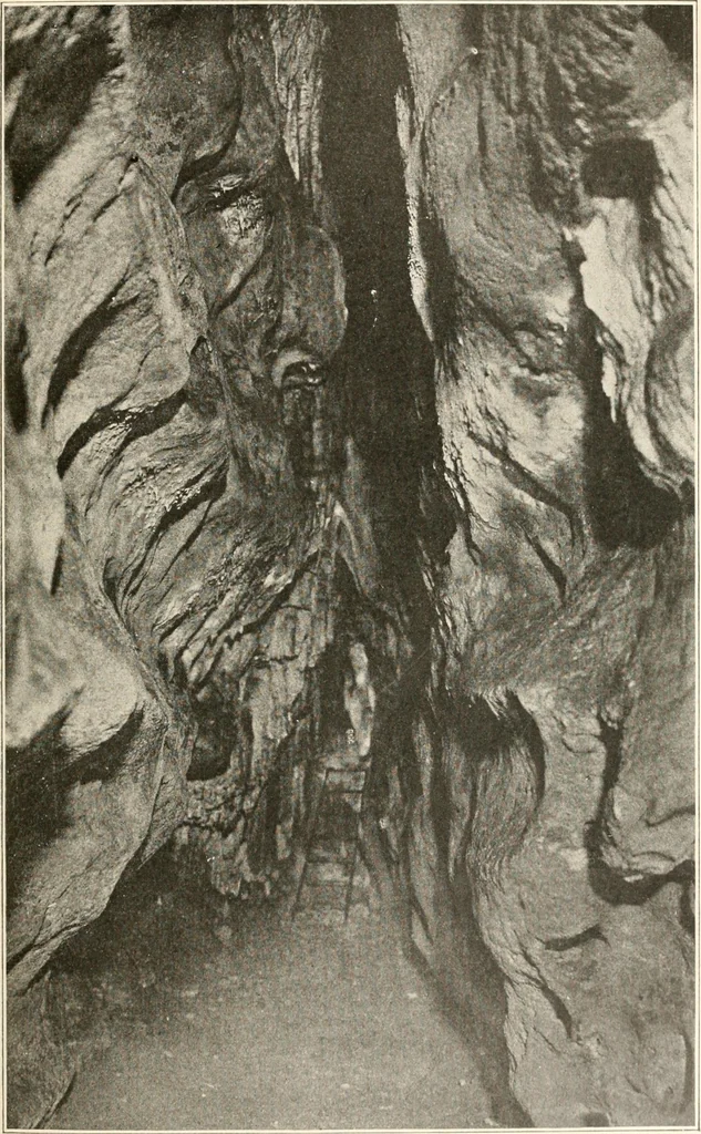 An illustration from Men of the old stone age : their environment, life and art, 1915, leaf 452