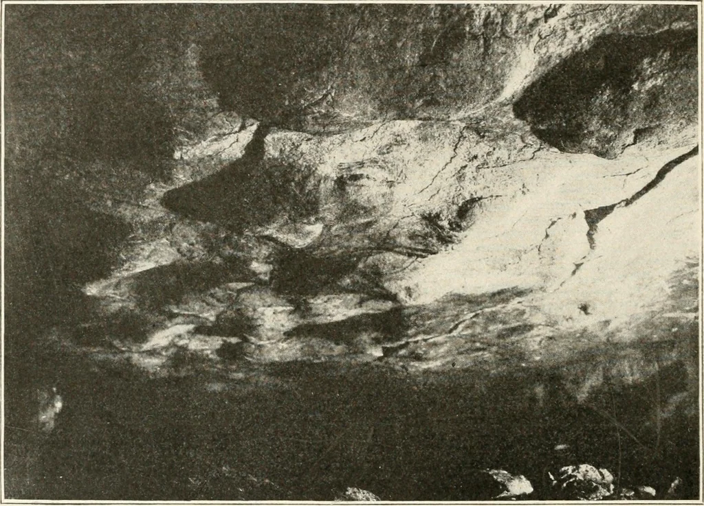 An illustration from Men of the old stone age : their environment, life and art, 1915, leaf 459