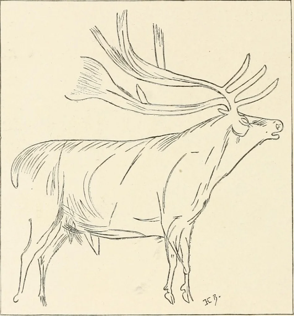 An illustration from Men of the old stone age : their environment, life and art, 1915, leaf 461