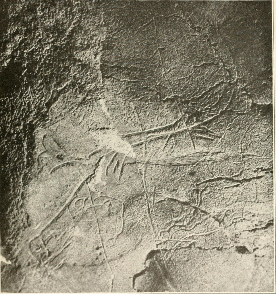 An illustration from Men of the old stone age : their environment, life and art, 1915, leaf 464