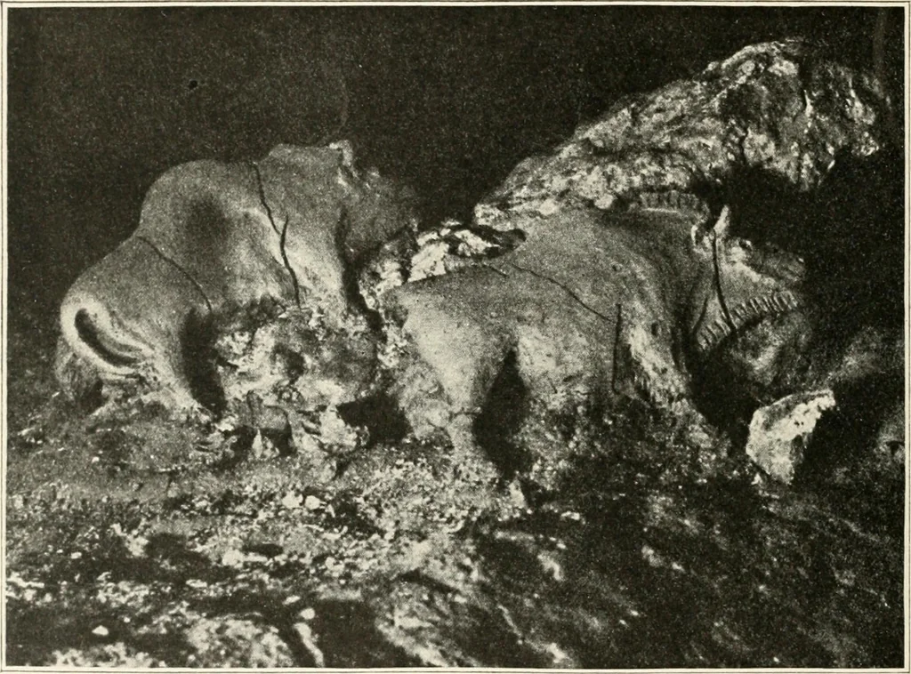 An illustration from Men of the old stone age : their environment, life and art, 1915, leaf 465
