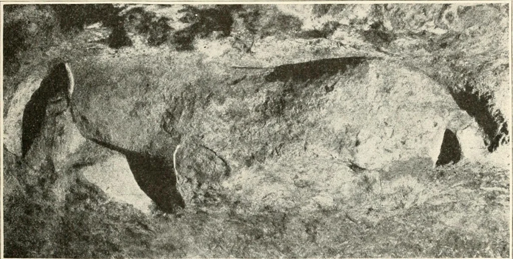 An illustration from Men of the old stone age : their environment, life and art, 1915, leaf 466