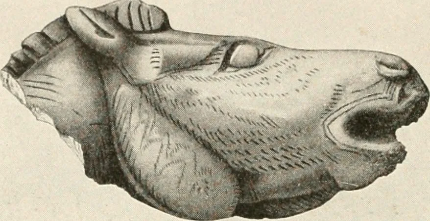 An illustration from Men of the old stone age : their environment, life and art, 1915, leaf 467