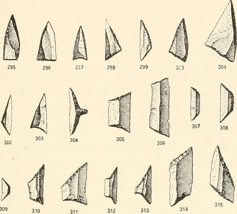 An illustration from Men of the old stone age : their environment, life and art, 1915, leaf 502