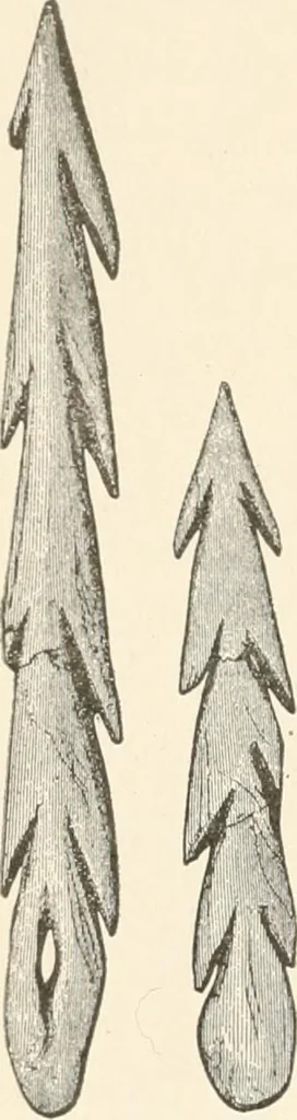 An illustration from Men of the old stone age : their environment, life and art, 1915, leaf 509