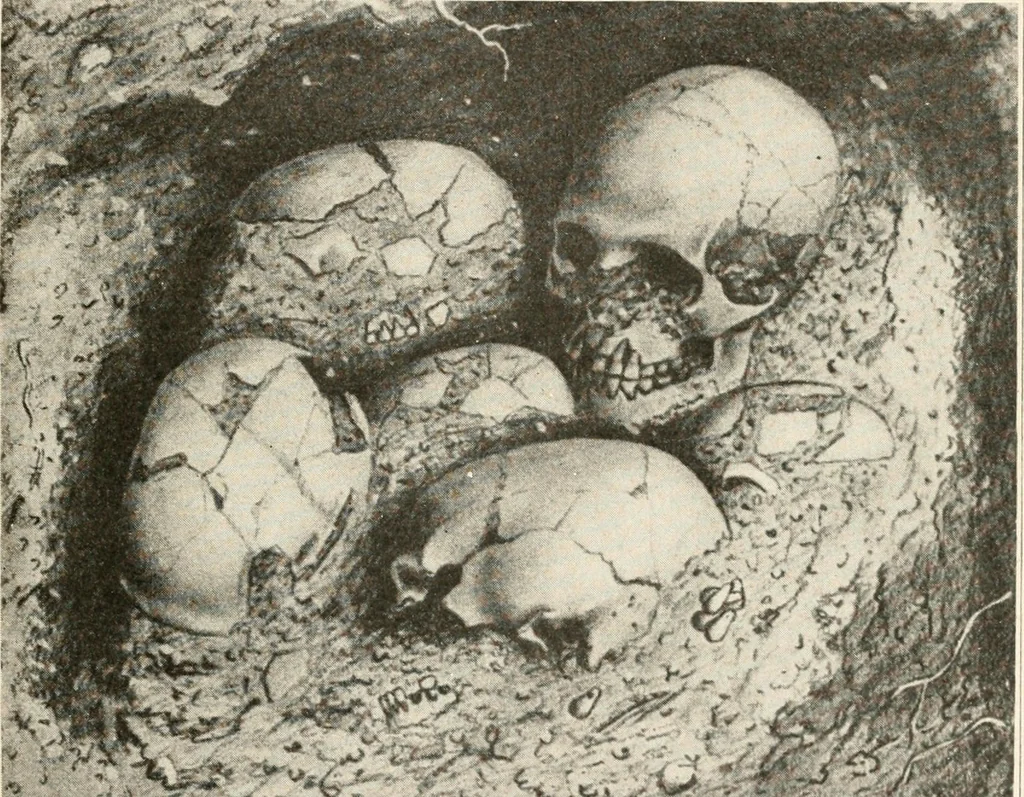 An illustration from Men of the old stone age : their environment, life and art, 1915, leaf 512
