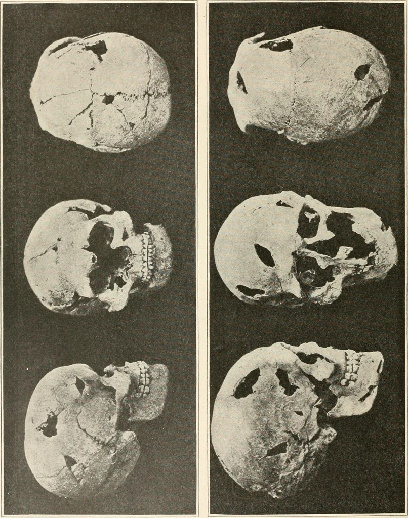An illustration from Men of the old stone age : their environment, life and art, 1915, leaf 513